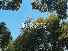 -八大处公园