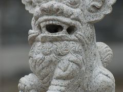 -小洲村