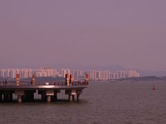 -宝安西湾红树林湿地公园