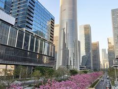 -深圳湾万象城(南山店)