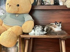 -咖法森林·咖啡  酒吧(天河店)