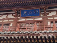 -西安乐游原