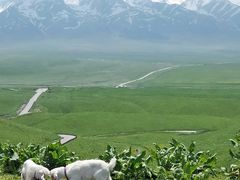 -新疆那拉提国家旅游度假区