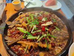-老板恋上鱼(高新万达店)