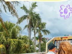-Big Bus Tours 敞篷观光巴士