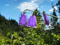 -蟠龙山长城景区