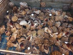 -抹直口特色菜馆(一店)