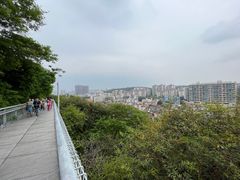 -佛山华盖山公园