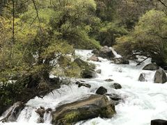 -叠溪松坪沟景区
