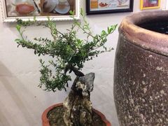 年花布置-郑厨私房菜