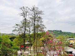 -桃源山庄·水蜜桃采摘·柴火鸡·烧烤团建(龙泉山店)