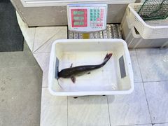 -鱼教头石泉老街石锅鱼(高新店)