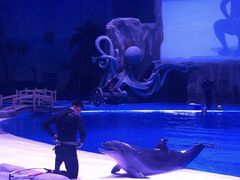 -华夏文旅海洋公园