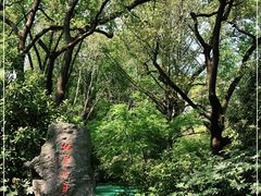 -上海醉白池公园