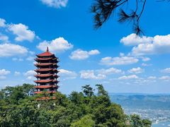 -缙云山景区