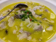 招牌酸汤鮰鱼-九头鸟酒家(四道口店)