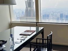 -上海柏悦酒店