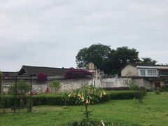 -金谷域澳洲庄园