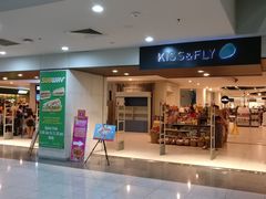 -尼诺伊·阿基诺国际机场T3航站楼