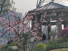 -后襄河公园