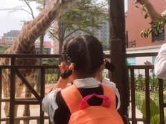 -灵玲国际马戏城