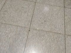 -荒岛实景沉浸密室(江汉路1店)