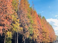 -捞渔河湿地公园