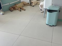 -怪兽屋·羊驼·猫咖·狗咖(俊华广场店)