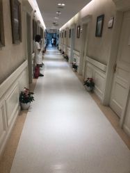 -圣嘉新医疗美容医院