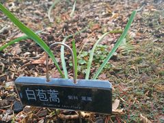 -黄兴公园