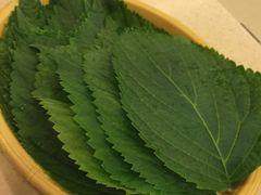 -福云龙(黄河南大街店)