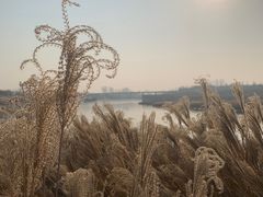 -诗经里