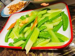 -蒙古大营(朝阳公园店)