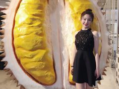 -都念榴莲·城市榴莲