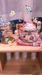 -JNK皮肤管理中心