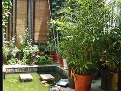 -留芳·文旅古月楼(老街店)