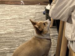 -留芳·文旅古月楼(老街店)