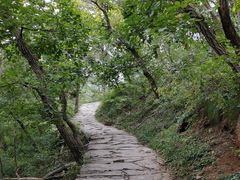 -北京上方山国家森林公园