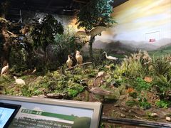 -陕西自然博物馆