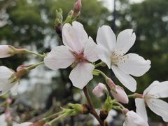 -西北湖绿化广场