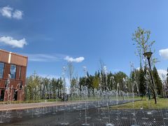 -黄海国家森林公园