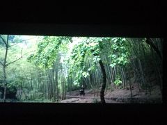 -博纳国际影城(铜锣湾激光巨幕杜比店)