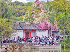 -深圳国际园林花卉博览园