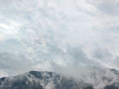 -王顺山国家森林公园