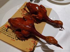 金牌玻璃乳鸽-茗鼎汇(星方汇广场店)