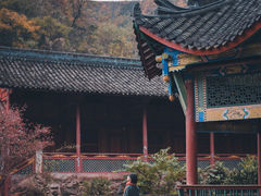 -狮子沟牧场