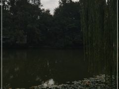 -浮庄