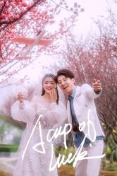 -金夫人婚纱摄影(惠阳店)