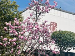 -八大山人梅湖景区