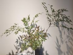 -王德传茶庄(上海新天地店)